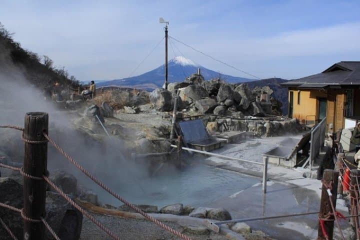 Hakone Full-Day Private Tour: Ropeway, Owakudani & Lake Ashi Cruise photo 6