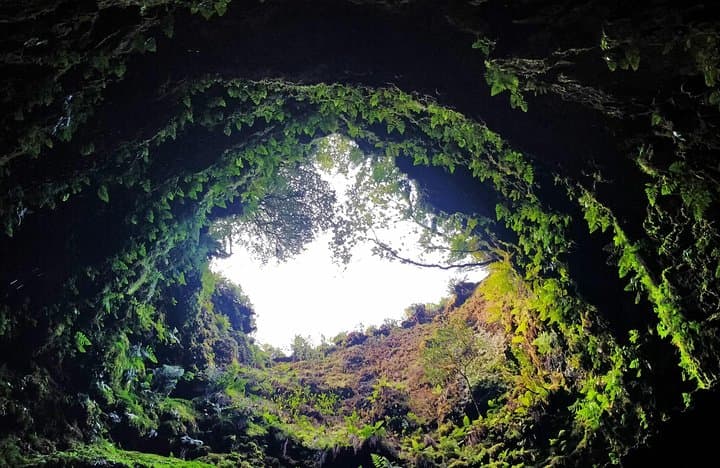 Terceira Island Full-Day Tour — Viewpoints, Lava Pools & Clay-Pot Lunch photo 3