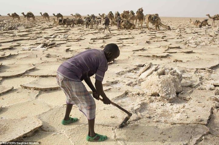 15-Day Danakil Depression & Omo Valley Cultural and Geological Expedition photo 5