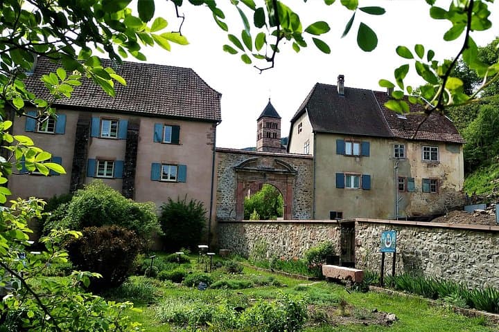 Half-Day Noble Valley Safari: Murbach Abbey & Alsace Wine Route from Colmar photo 1