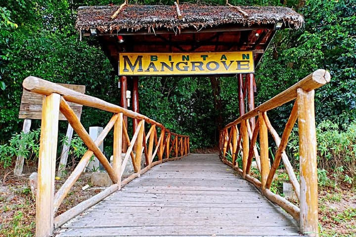 Bintan Mangrove Discovery: Sebung River Wildlife Boat Tour