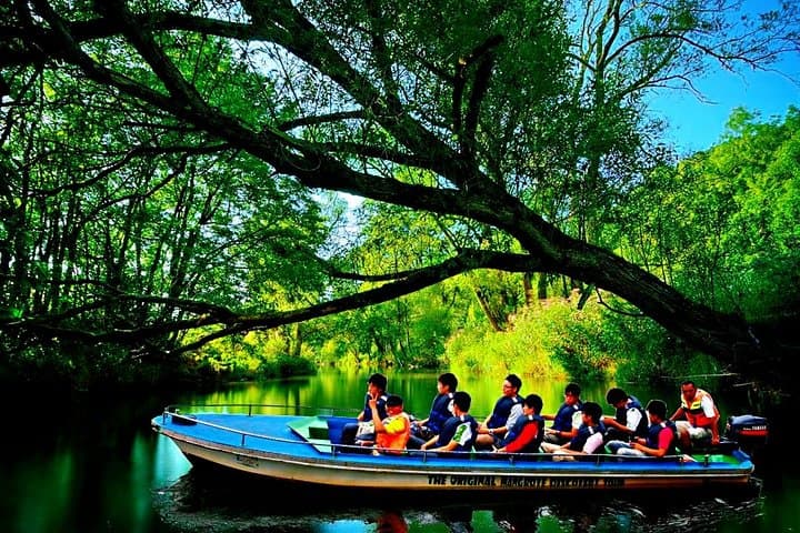 Bintan Mangrove Discovery: Sebung River Wildlife Boat Tour photo 3