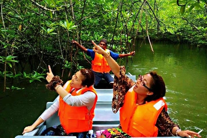 Bintan Mangrove Discovery: Sebung River Wildlife Boat Tour photo 6