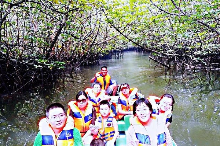 Bintan Mangrove Discovery: Sebung River Wildlife Boat Tour photo 4
