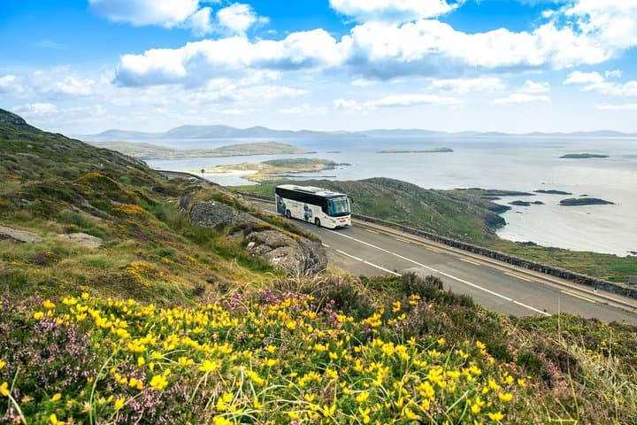Two-Day Killarney Super Saver: Dingle, Slea Head & Ring of Kerry Scenic Tour photo 4