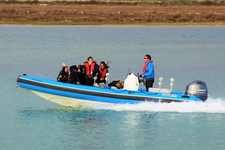 Ria Formosa Private Speed Boat Tour: 1-Hour Algarve Coastal Ride photo 3