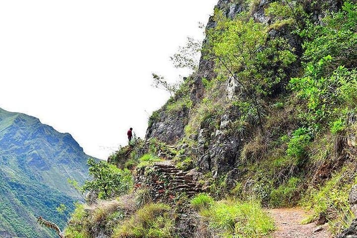Inca Jungle Adventure: 7-Day Mountain Biking, Rafting, Zipline & Trek to Machu Picchu photo 4