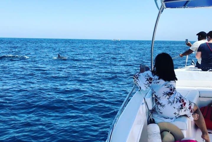 Dolphin Watching in Muscat: 2-Hour Boat Trip to See Indo-Pacific Dolphins photo 3