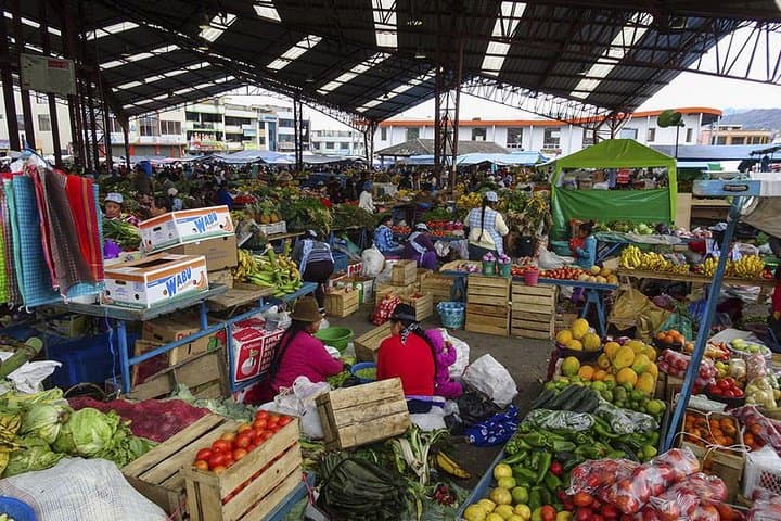 2-Day Cotopaxi Volcano and Quilotoa Lagoon Adventure from Quito photo 6