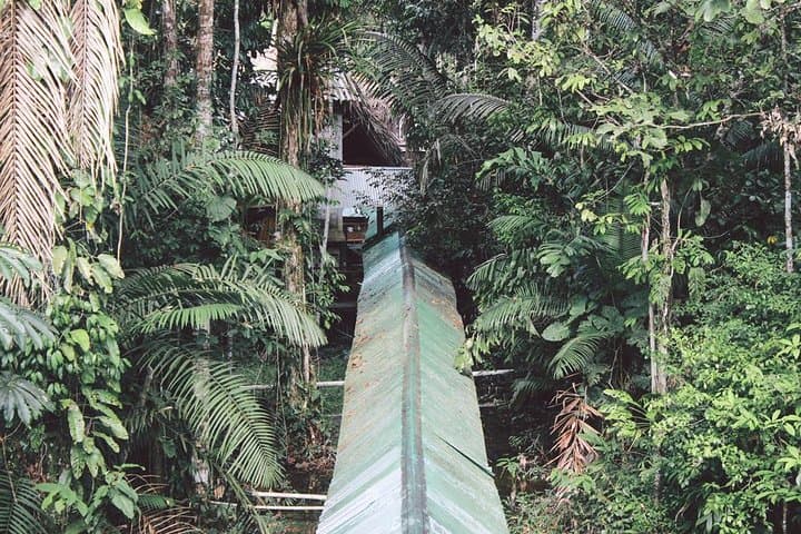 4-Day Cuyabeno Amazon Lodge Adventure at Tapir Lodge photo 6