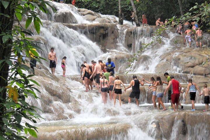Dunn's River Falls and the Luminous Lagoon: Guided Tour from Falmouth photo 3