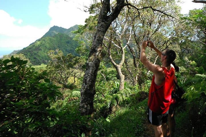 Manoa Valley Volcanic Rainforest Hike — Guided Oahu Adventure photo 3
