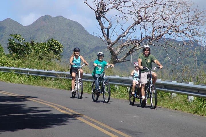 Oahu Full-Day Bike, Hike, Sail & Snorkel Combo — Rainforest to Reef photo 3