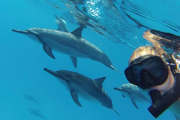 Explore Kona’s Coast: Private Customizable Big Island Boat Adventure photo 5