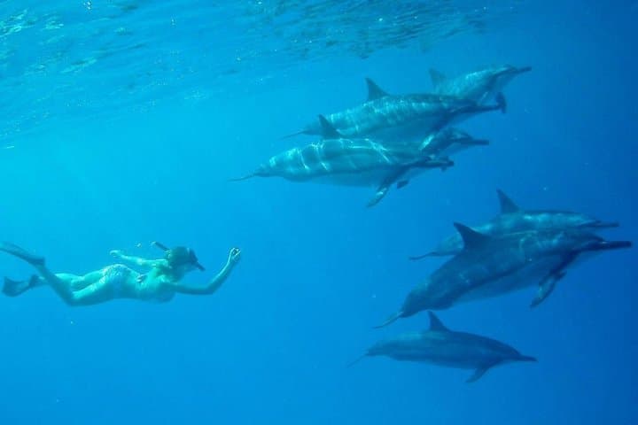 Explore Kona’s Coast: Private Customizable Big Island Boat Adventure photo 4