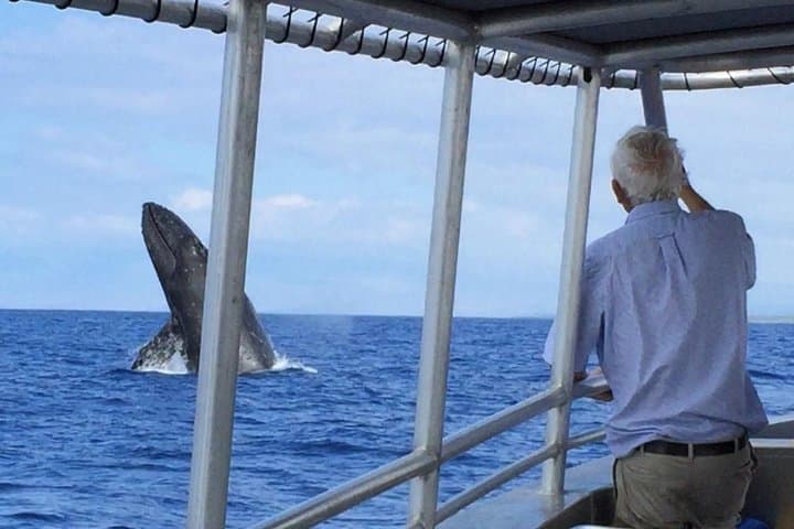 Explore Kona’s Coast: Private Customizable Big Island Boat Adventure photo 3