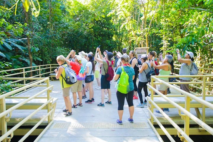Manuel Antonio Park Tour: Coastal Rainforest Walk with Wildlife Viewing