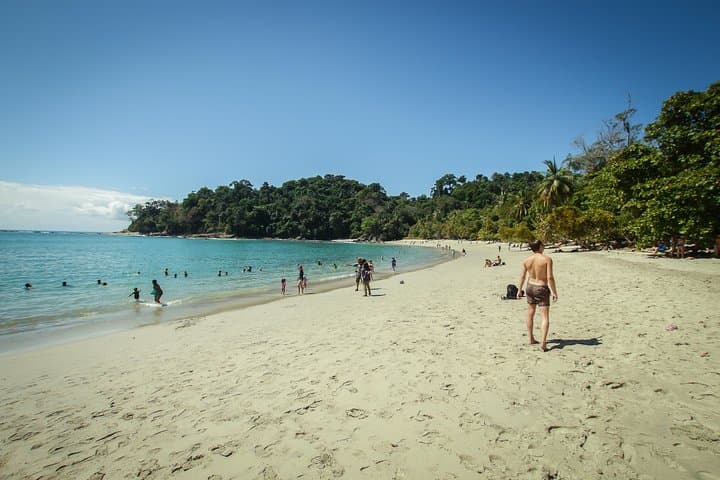 Manuel Antonio Park Tour: Coastal Rainforest Walk with Wildlife Viewing photo 2