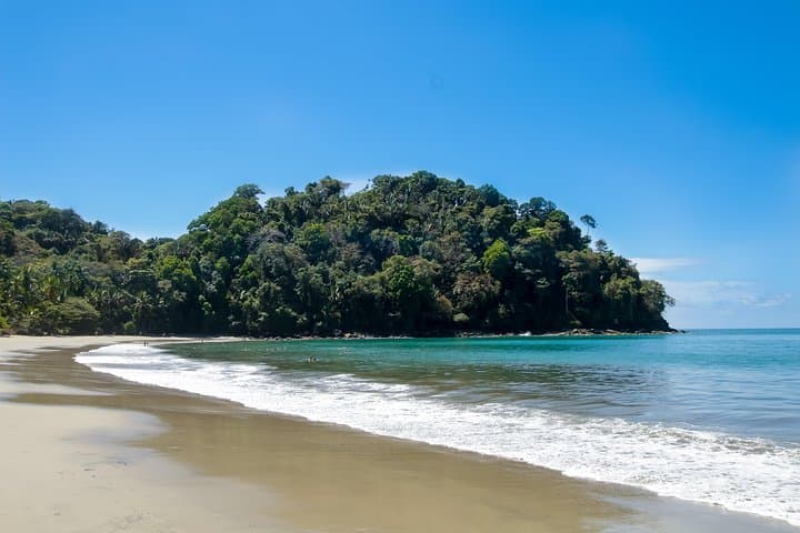 Manuel Antonio Park Tour: Coastal Rainforest Walk with Wildlife Viewing photo 3