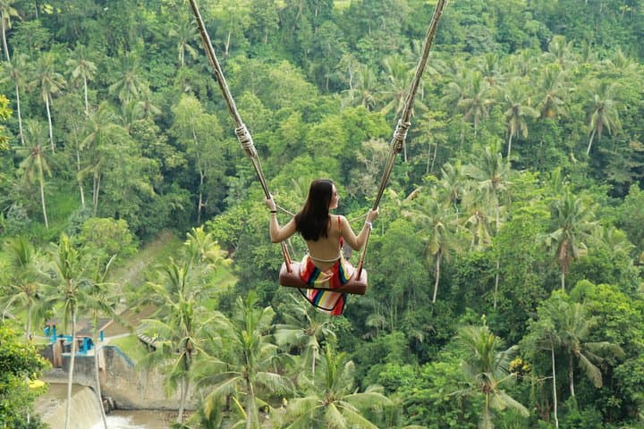 Ubud Jungle Swing & Cultural Day Tour — Monkey Forest, Art Villages & Tegenungan Waterfall photo 1
