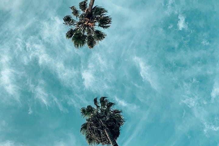 Private Los Angeles Photo Tour: Top Instagram Spots in L.A. photo 4