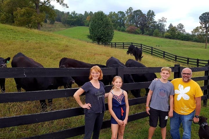 Walnut Hollow Ranch Private Walking Tour: Inside a Working Cattle Ranch Near Hayesville, NC
