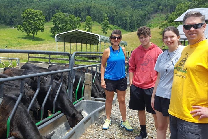 Walnut Hollow Ranch Private Walking Tour: Inside a Working Cattle Ranch Near Hayesville, NC photo 2