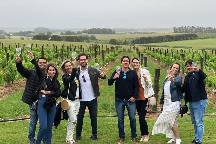 Punta del Este Wine Tour: Small-Group Tannat Tasting & Lunch at La Barra Vineyard photo 2