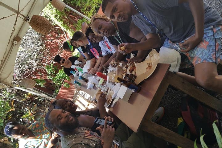 Customizable Ocho Rios Day Tour: Dunn's River, Blue Hole & Beaches photo 2