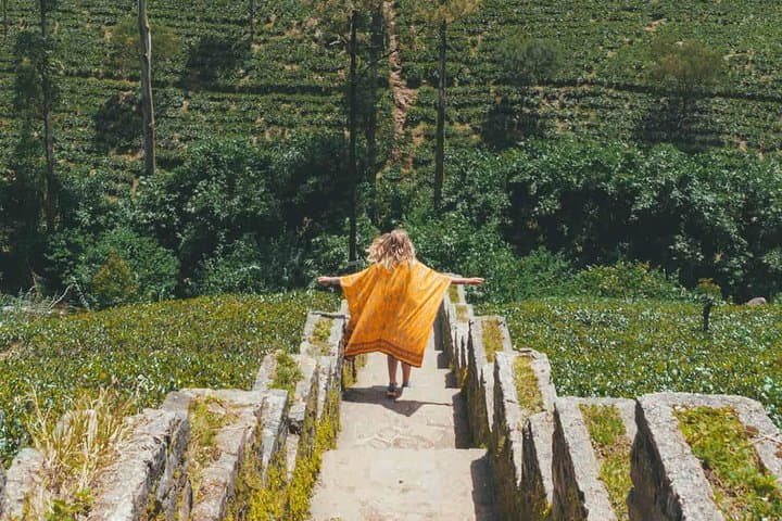 Kandy & Nuwara Eliya: 2-Day Tea Country Tour from Colombo photo 4