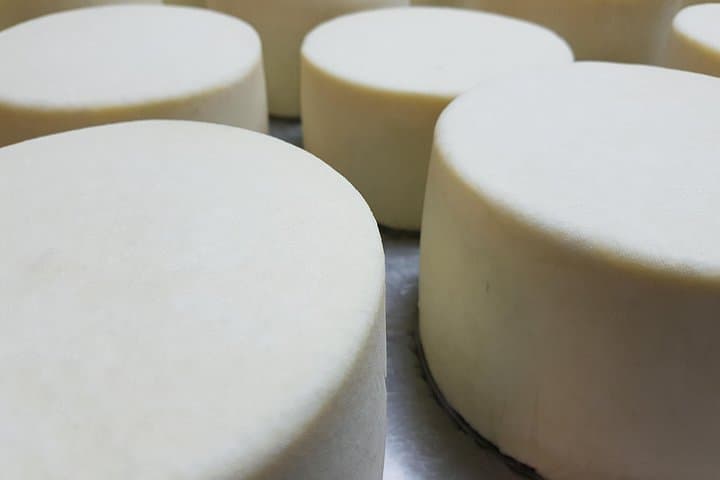 Taste Idiazabal: Cheese Farm & Traditional Basque Cider House Lunch from San Sebastián photo 4