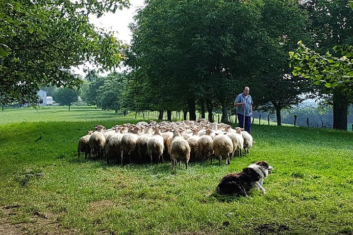 Taste Idiazabal: Cheese Farm & Traditional Basque Cider House Lunch from San Sebastián photo 2