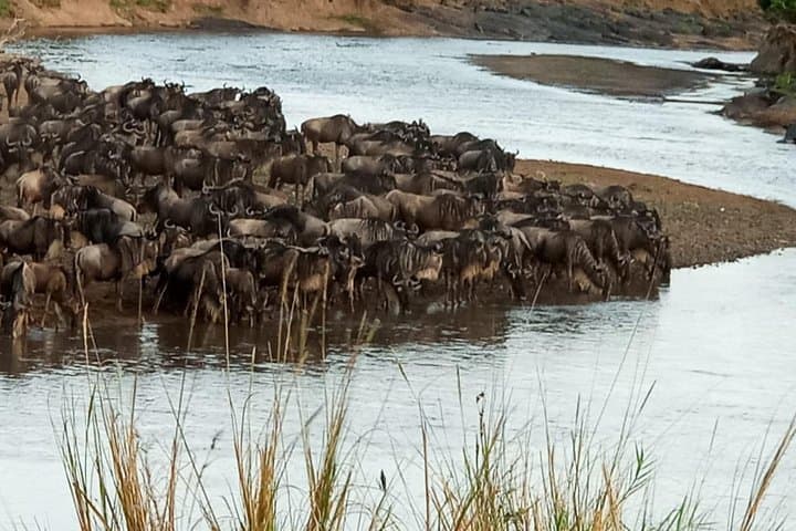 6-Day Wildebeest Migration Safari: Serengeti & Ngorongoro Crater photo 2