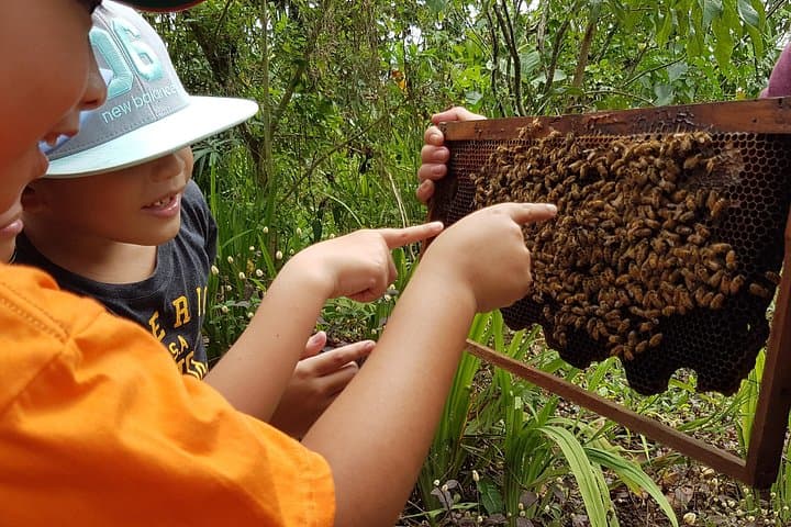 Milea Bee Farm Tour: Guided Honey Tasting & Farm Visit near Manila photo 2