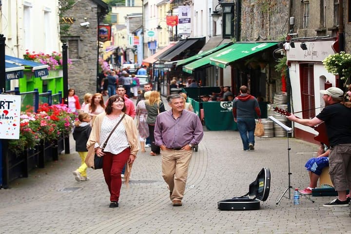 Dublin Day Trip: Kilkenny, Wicklow & Glendalough with Sheepdog Trials photo 4