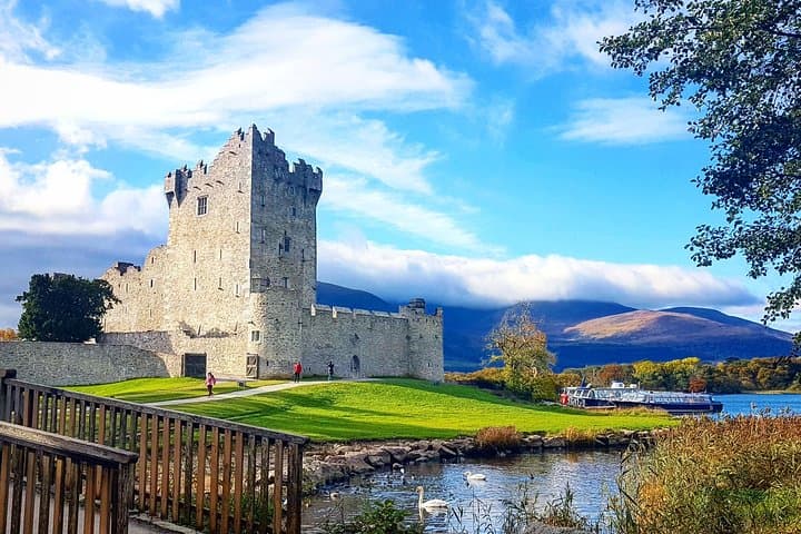 Lakes of Killarney Cruise: Lily of Killarney Lake Tour from Ross Castle photo 6