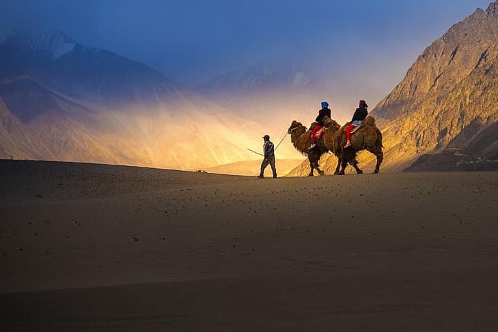8-Day Heavenly Himalayas: Leh-Ladakh Road Trip to Nubra & Pangong photo 4