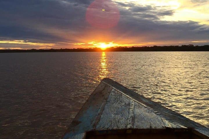 Iquitos Amazon Wildlife: Arapaima Viewing, Jungle Hike & Rescue Center Day Trip photo 3