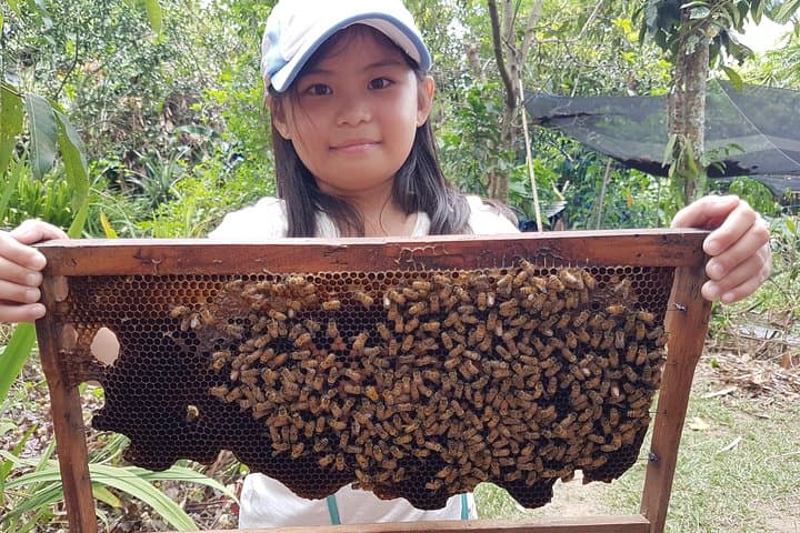 Milea Bee Farm Tour: Guided Honey Tasting & Farm Visit near Manila photo 3