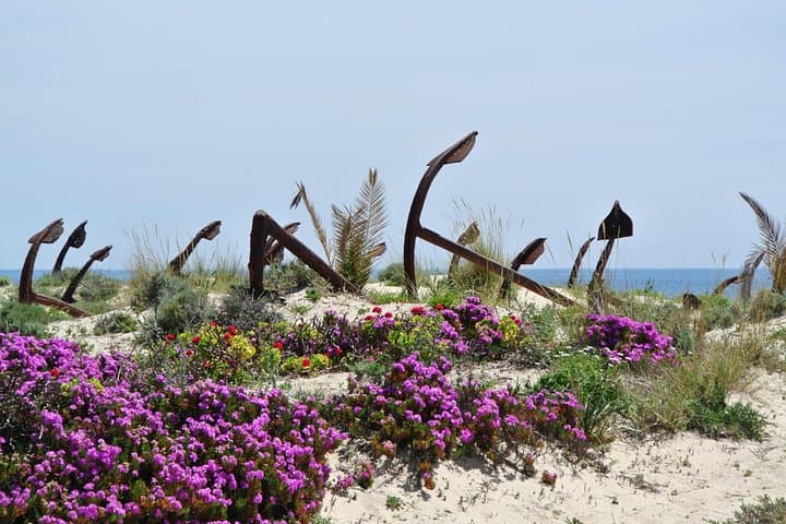 Tavira on Foot: Self-Guided Coastal Walks Through the Ria Formosa photo 3
