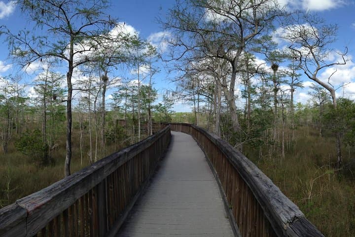 Half-Day Western Everglades Family Adventure — Corkscrew Marsh Walk & Airboat Experience photo 6