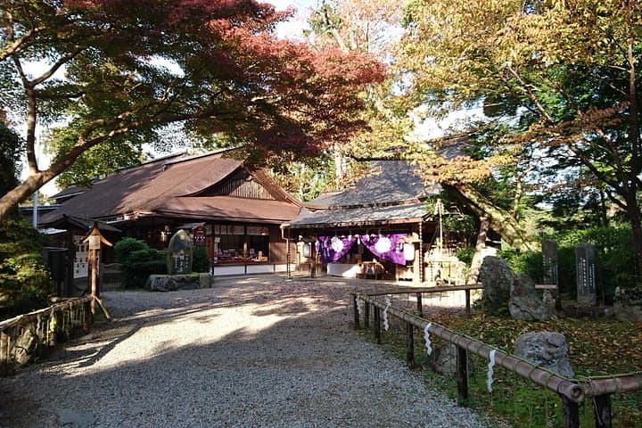 Yoshinoyama Temple Walk: Day hike, shrines, and regional sweets on Japan’s cherry ridge photo 2