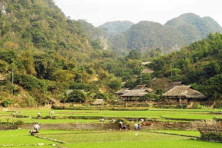 Day Trip to Mai Chau Valley from Hanoi — Rice Fields, Stilt Houses & Loom Workshops photo 4