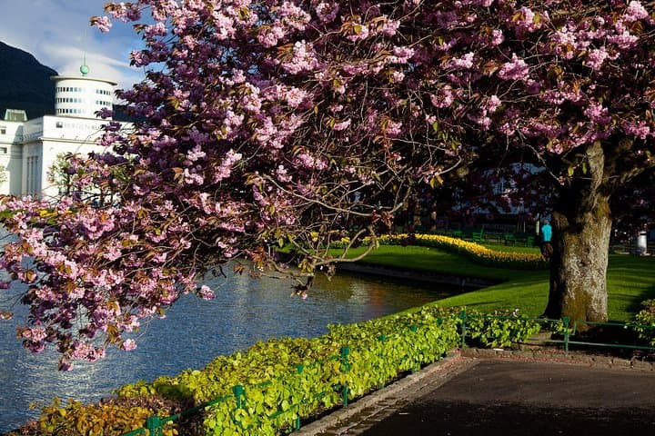 Explore Bergen: A 5-Hour Private City Sightseeing Tour with Local Insights photo 3