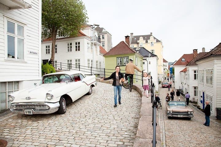 Explore Bergen’s Highlights: A Private 4-Hour City Sightseeing Tour photo 6