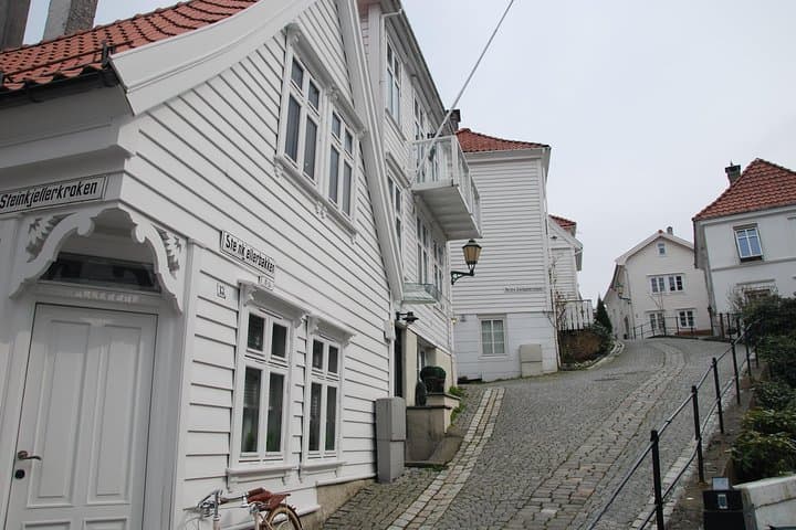 Explore Bergen: A 5-Hour Private City Sightseeing Tour with Local Insights photo 4