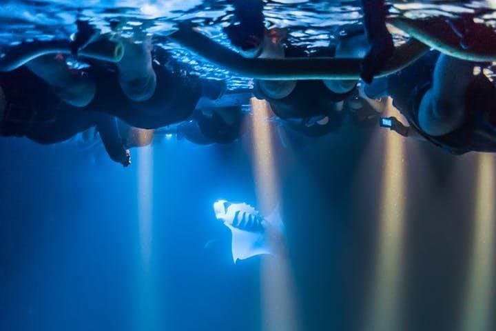Night Manta Ray Snorkel Experience in Kona — Keauhou Bay Adventure photo 6
