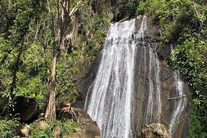 Half-Day El Yunque Rainforest Tour from San Juan — La Coca Falls & Yocahu Tower photo 3