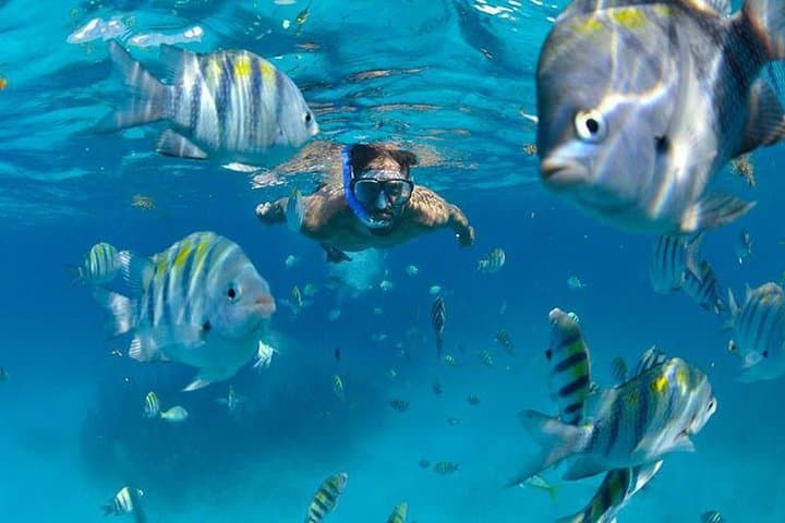 Isla Mujeres Catamaran Adventure: All‑Inclusive Day Trip from Cancun photo 3