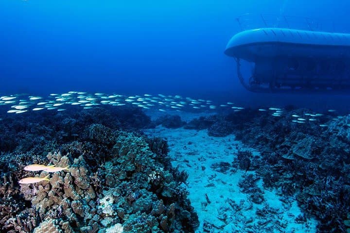 Dive Kona's Hidden Reef: Atlantis Submarine Adventure from Kona Beach photo 4